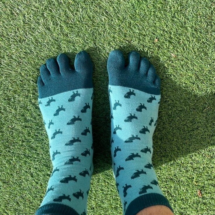 Baresocks - Finger Socks - Dinos